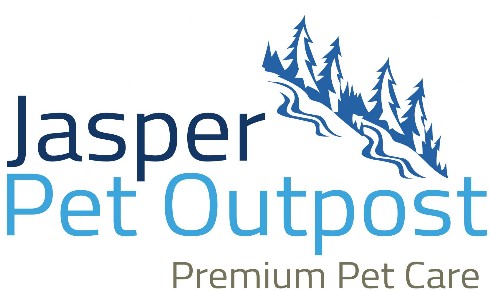 local store logo