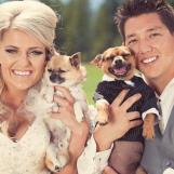 wedding gallery