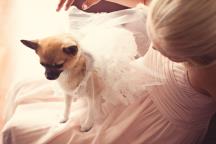 wedding gallery