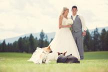 wedding gallery